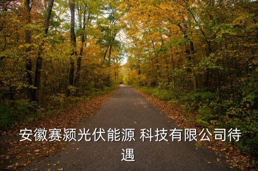  安徽賽潁光伏能源 科技有限公司待遇