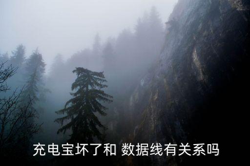充電寶燒壞數(shù)據(jù)線,xbox手柄用充電寶會燒壞么