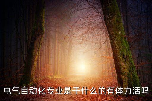 電氣自動(dòng)化專(zhuān)業(yè)是干什么的有體力活嗎