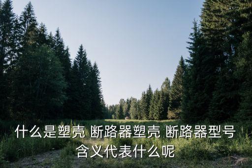 什么是塑殼 斷路器塑殼 斷路器型號(hào)含義代表什么呢