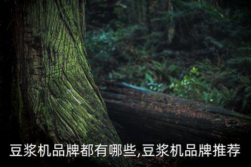 豆?jié){機(jī)品牌都有哪些,豆?jié){機(jī)品牌推薦