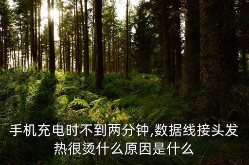 手機(jī)充電時(shí)不到兩分鐘,數(shù)據(jù)線接頭發(fā)熱很燙什么原因是什么