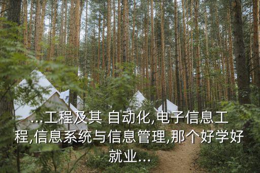 ...工程及其 自動化,電子信息工程,信息系統(tǒng)與信息管理,那個好學(xué)好就業(yè)...