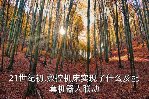 21世紀(jì)初,數(shù)控機(jī)床實(shí)現(xiàn)了什么及配套機(jī)器人聯(lián)動(dòng)