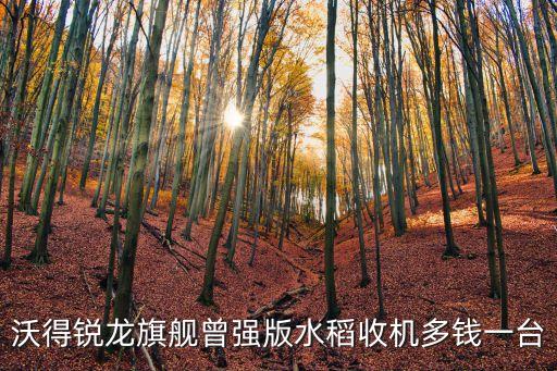 中國收割水稻的自動化公司,水稻收割機(jī)市場飽和度仍較高