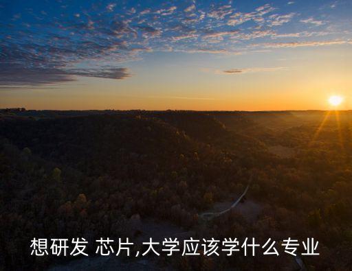 想研發(fā) 芯片,大學(xué)應(yīng)該學(xué)什么專業(yè)