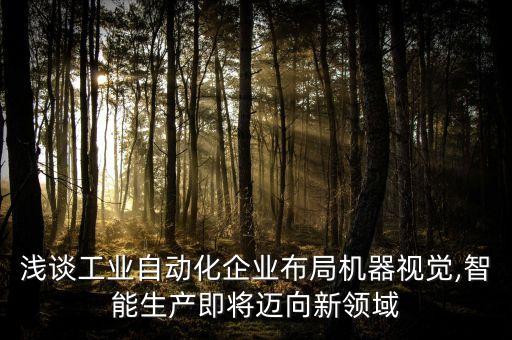 淺談工業(yè)自動化企業(yè)布局機(jī)器視覺,智能生產(chǎn)即將邁向新領(lǐng)域