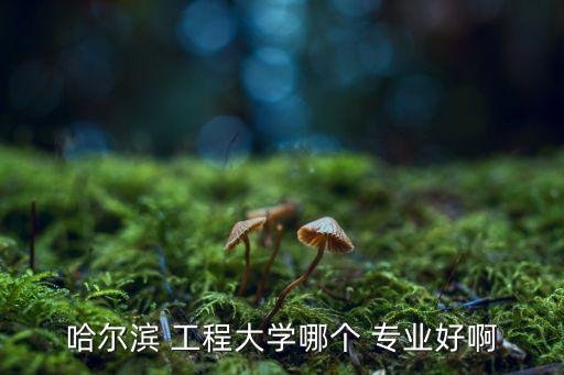 哈爾濱 工程大學(xué)哪個 專業(yè)好啊