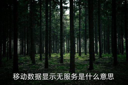 移動數(shù)據(jù)顯示無服務(wù)是什么意思