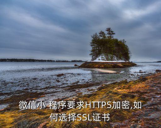 微信小 程序要求HTTPS加密,如何選擇SSL證書