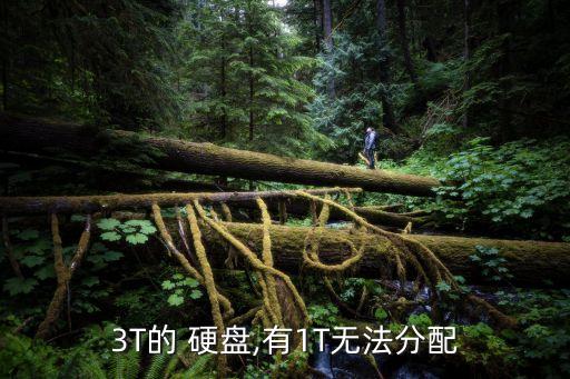 3T的 硬盤,有1T無法分配