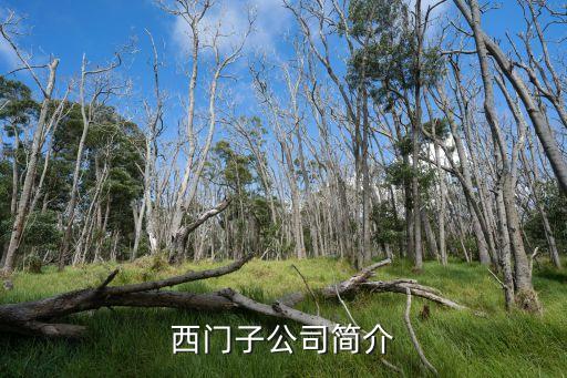 內(nèi)江工業(yè)自動(dòng)化公司有哪些,工業(yè)自動(dòng)化概念股有哪些?