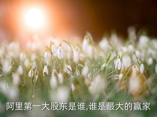 阿里第一大股東是誰,誰是最大的贏家