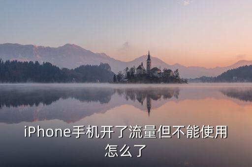 iPhone手機(jī)開了流量但不能使用怎么了