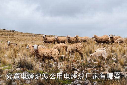 自動化烘焙工廠有哪些設(shè)備,深圳自動化工廠有哪些公司