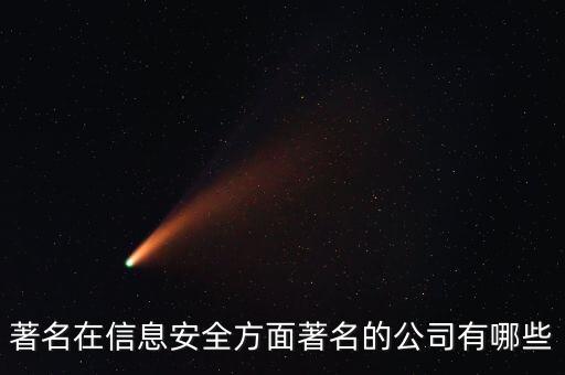 大數(shù)據(jù)安全.綠盟,本地信息安全公司有哪些