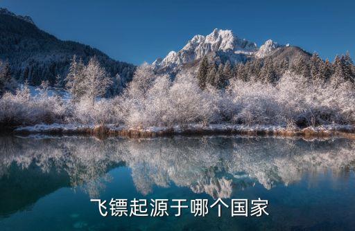 飛鏢組自動(dòng)化設(shè)備,自動(dòng)化飛鏢是什么意思