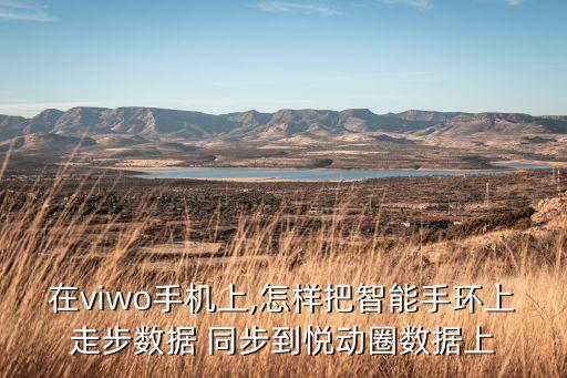 在viwo手機(jī)上,怎樣把智能手環(huán)上走步數(shù)據(jù) 同步到悅動(dòng)圈數(shù)據(jù)上