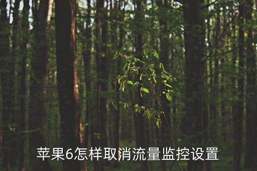 蘋果6怎樣取消流量監(jiān)控設(shè)置