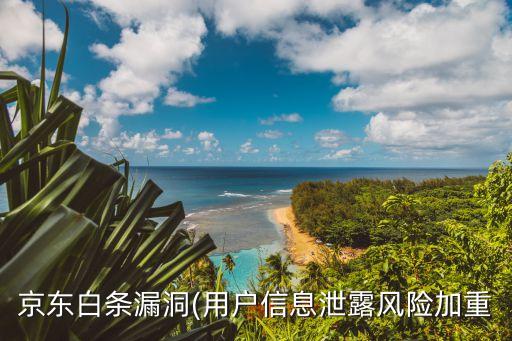 京東白條漏洞(用戶信息泄露風(fēng)險加重