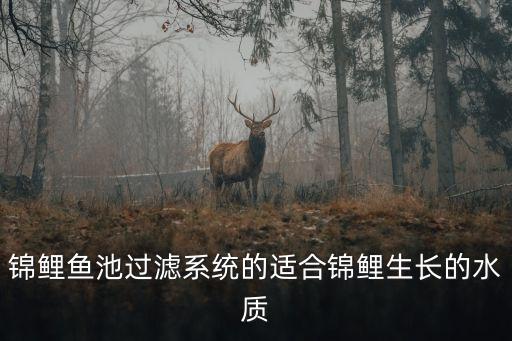 錦鯉魚(yú)池過(guò)濾系統(tǒng)的適合錦鯉生長(zhǎng)的水質(zhì)