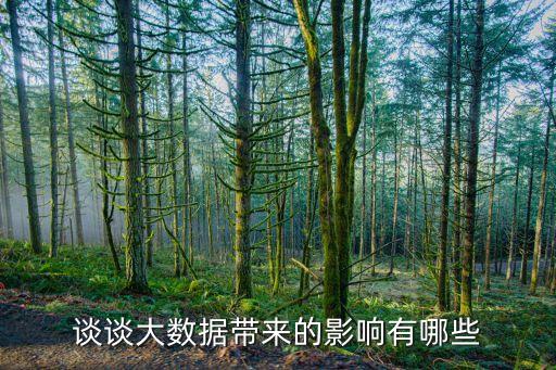 談?wù)劥髷?shù)據(jù)帶來(lái)的影響有哪些