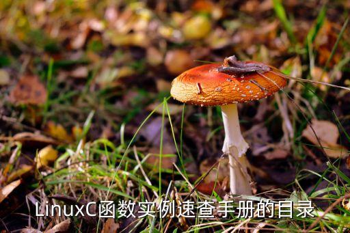 fstat,status翻譯成中文