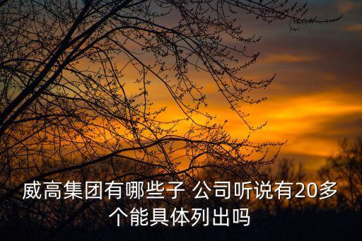 威高集團(tuán)有哪些子 公司聽說有20多個(gè)能具體列出嗎