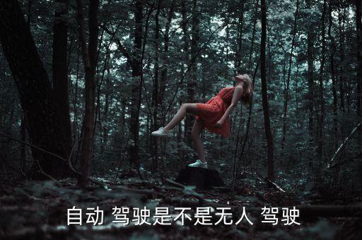  自動 駕駛是不是無人 駕駛