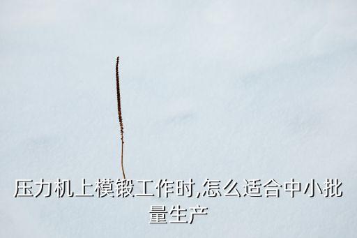 壓力機上模鍛工作時,怎么適合中小批量生產