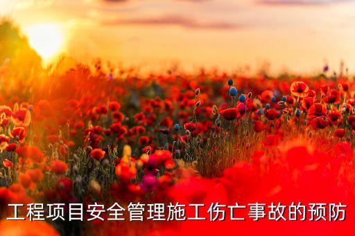 工程項目安全管理施工傷亡事故的預(yù)防