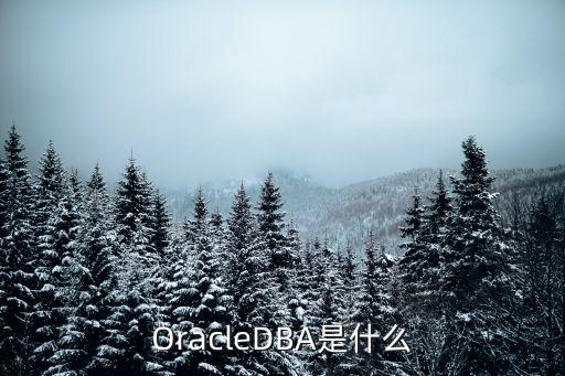 數(shù)據(jù)庫甲骨文是什么,甲骨文數(shù)據(jù)庫和SQL數(shù)據(jù)庫差別