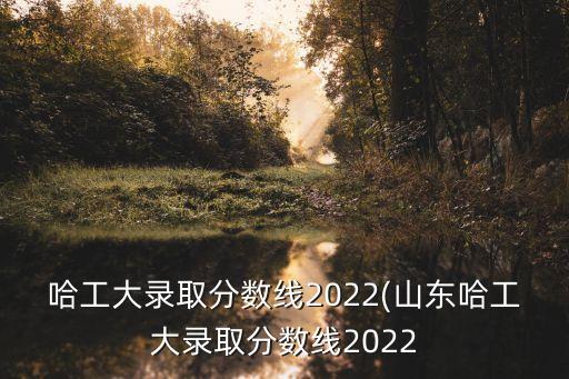 哈工大錄取分?jǐn)?shù)線2022(山東哈工大錄取分?jǐn)?shù)線2022
