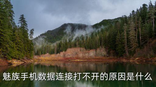 魅族mx5移動數(shù)據(jù)開不起,手機移動數(shù)據(jù)連接打不開怎么辦?