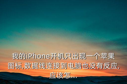 我的iPhone開機(jī)只出現(xiàn)一個蘋果圖標(biāo),數(shù)據(jù)線連接到電腦也沒有反應(yīng),應(yīng)該怎...