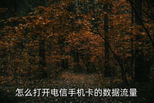 怎么打開電信手機(jī)卡的數(shù)據(jù)流量