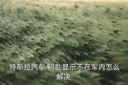 特斯拉鑰匙