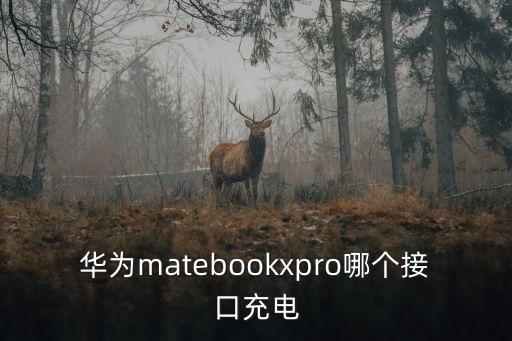 華為matebookxpro哪個接口充電