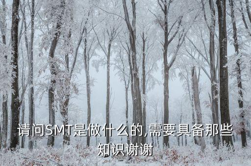 請問SMT是做什么的,需要具備那些知識謝謝