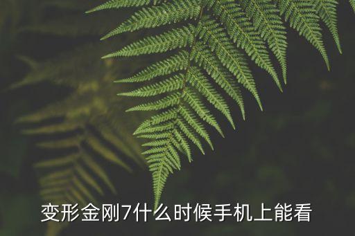 變形金剛7什么時候手機上能看