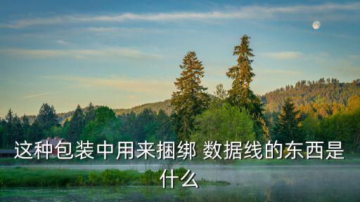 這種包裝中用來捆綁 數(shù)據(jù)線的東西是什么