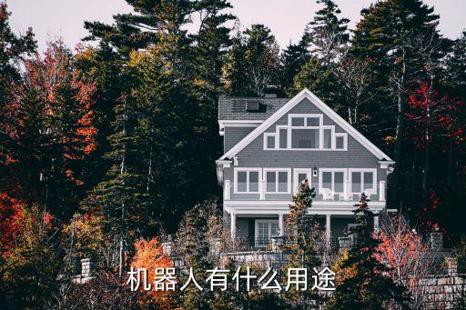 廣場舞機(jī)器人圖片大全 百度百科,機(jī)器人有哪些用途?