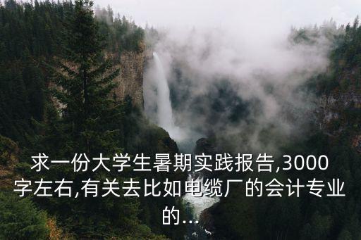 求一份大學生暑期實踐報告,3000字左右,有關(guān)去比如電纜廠的會計專業(yè)的...