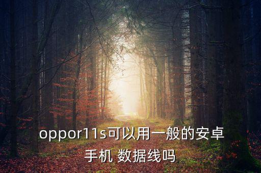  oppor11s可以用一般的安卓手機(jī) 數(shù)據(jù)線嗎