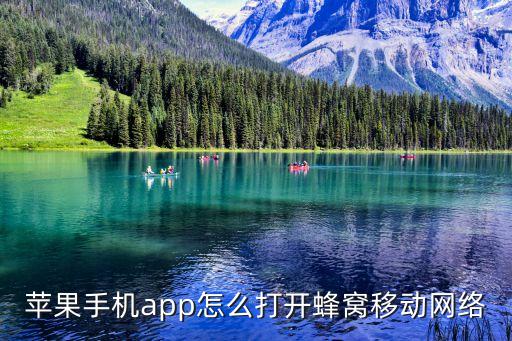 蘋果手機(jī)app怎么打開蜂窩移動網(wǎng)絡(luò)
