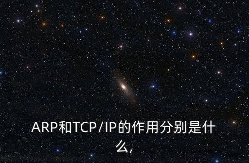ARP和TCP/IP的作用分別是什么,