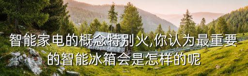 智能家電的概念特別火,你認為最重要的智能冰箱會是怎樣的呢