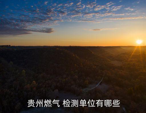  貴州燃?xì)?檢測(cè)單位有哪些