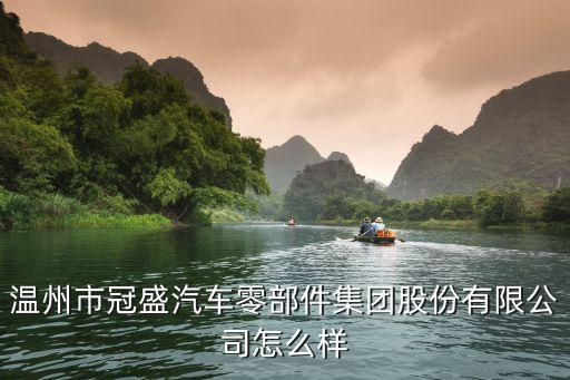 溫州市冠盛汽車零部件集團(tuán)股份有限公司怎么樣