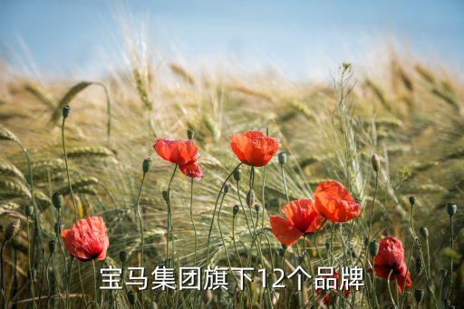 寶馬集團旗下12個品牌